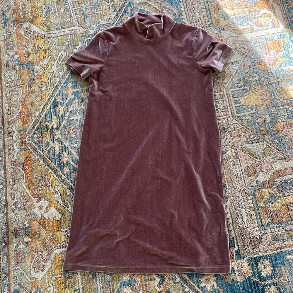 Pink/Magenta Velvet Madewell Dress